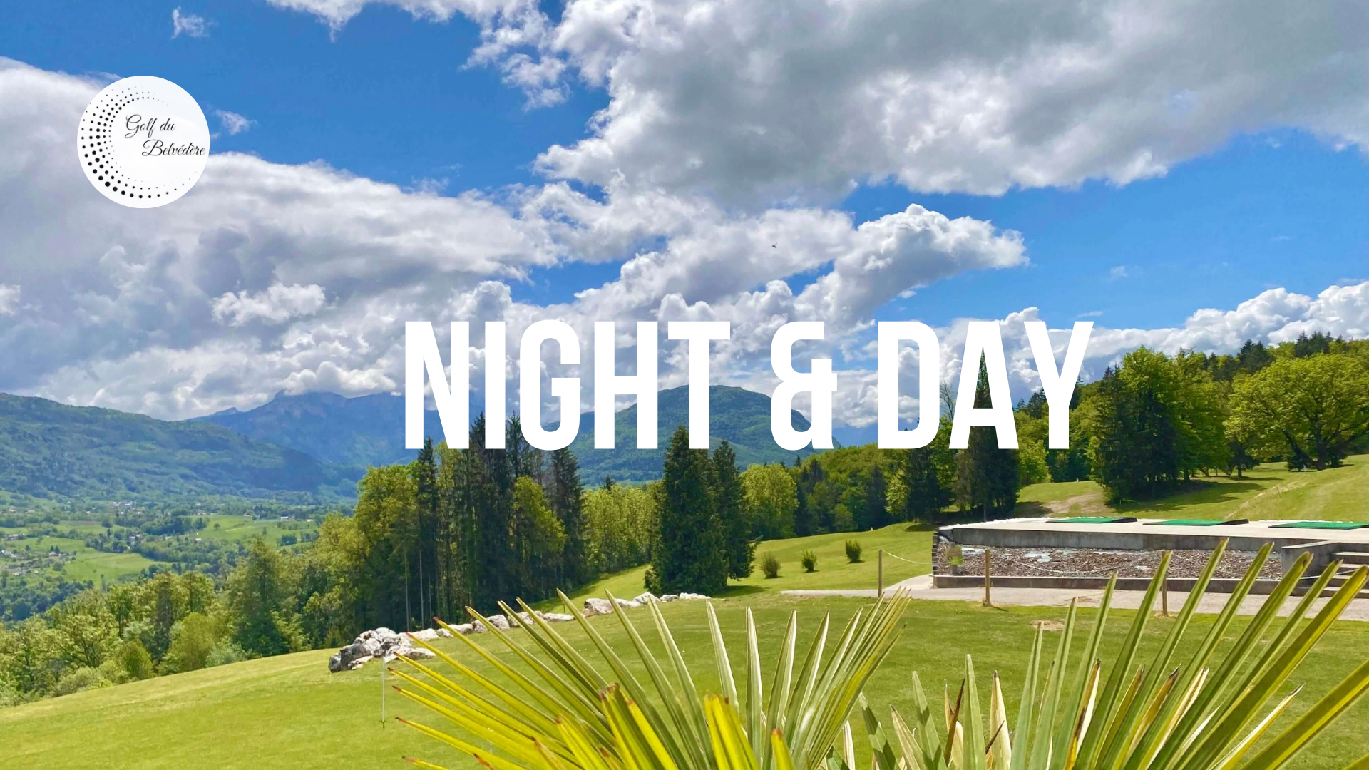 Night & Day