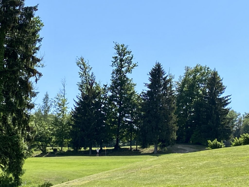 Stratégie golf débutant : conseils pratiques pour gagner des coups facilement