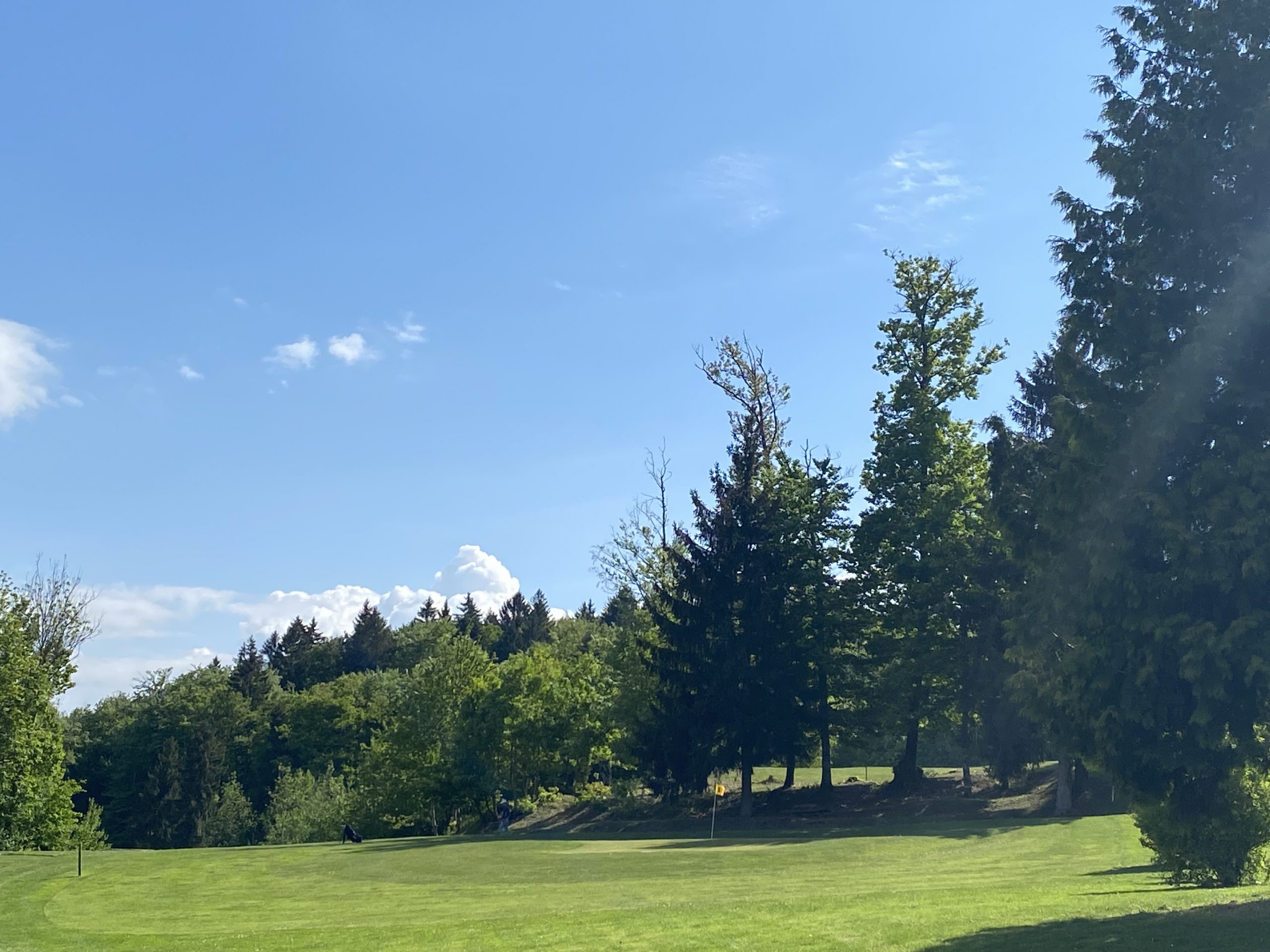 Cours particulier, collectif ou stage : découvrez le prix moyen d'un cours de golf et construisez votre budget saison.