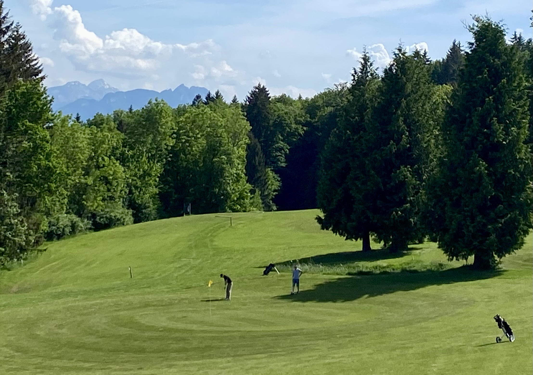 Découvrez comment maîtriser le driving au golf