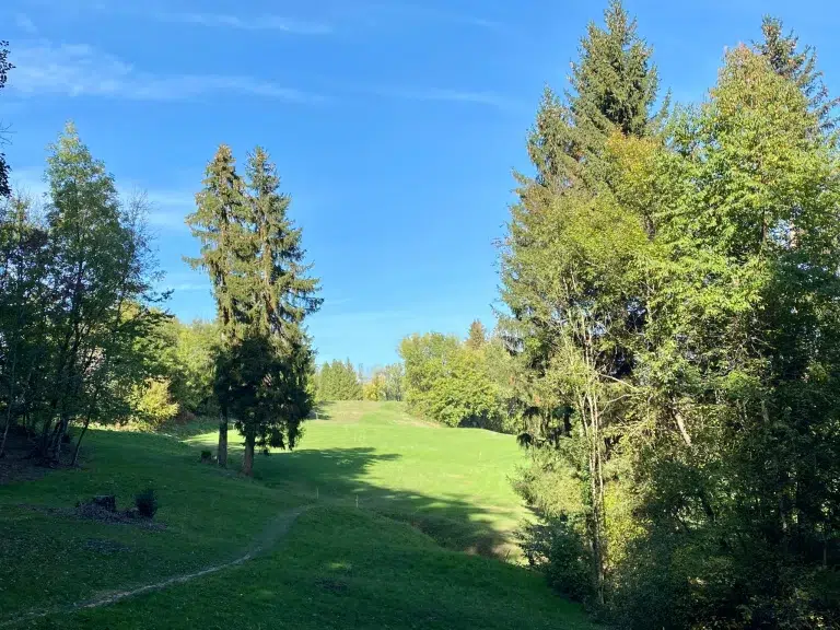 Quelles sont les raisons de s’initier au golf